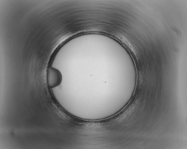 X0000116650789201001041049