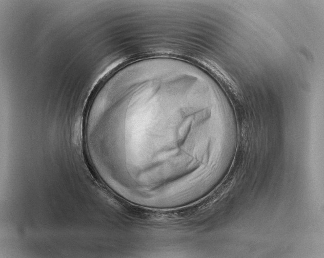 X0000116650790201001041049