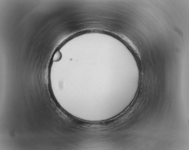 X0000116650791201001041049