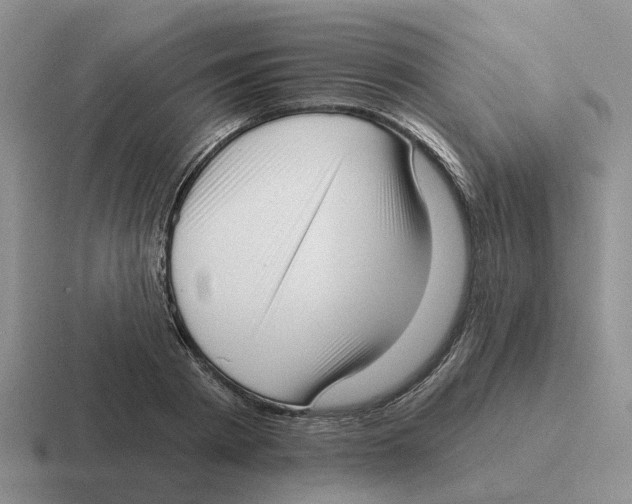 X0000116650793201001041049