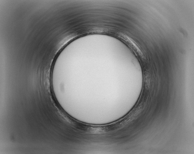 X0000116650794201001041049