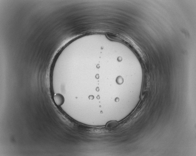 X0000116650795201001041049