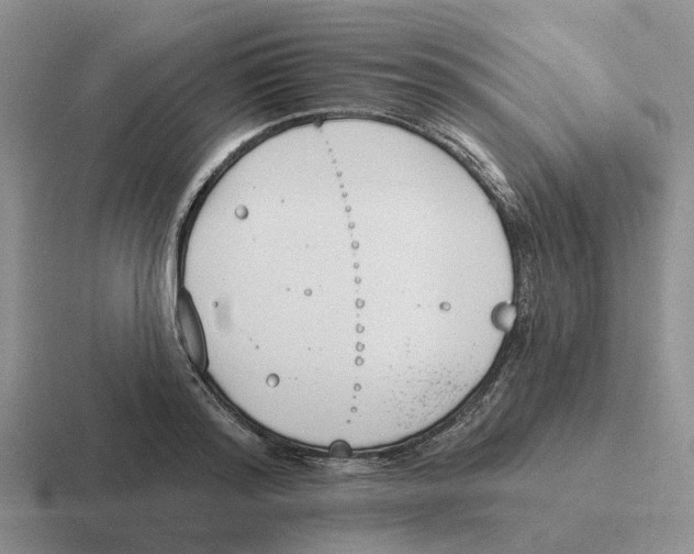 X0000116650796201001041049