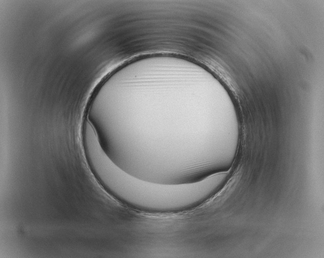 X0000116650797201001041049