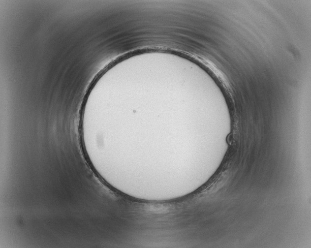 X0000116650799201001041049