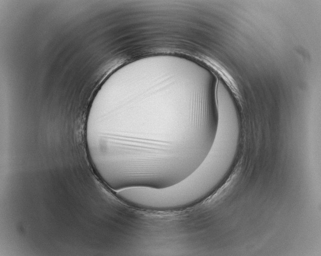 X0000116650801201001041049