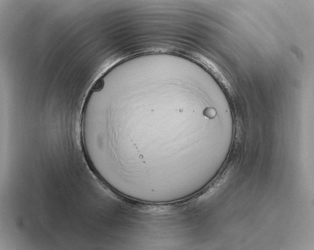 X0000116650802201001041049