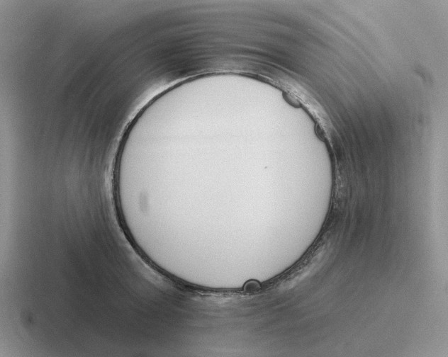 X0000116650803201001041049