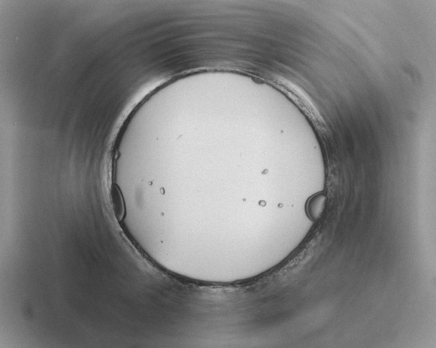 X0000116650804201001041049