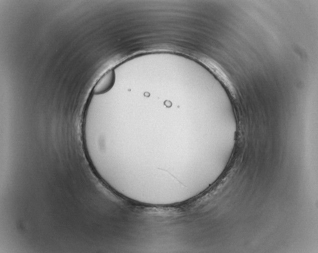 X0000116650805201001041049