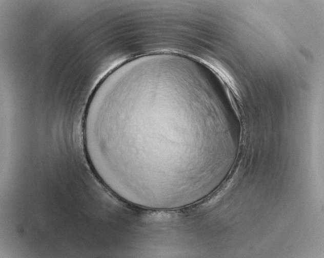 X0000116650806201001041049