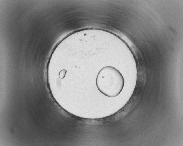 X0000116650807201001041049