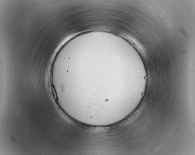 X0000116650808201001041049