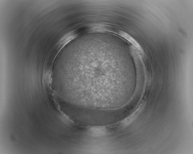 X0000116650809201001041049