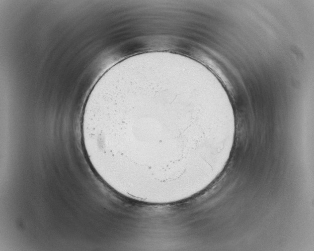 X0000116650810201001041049