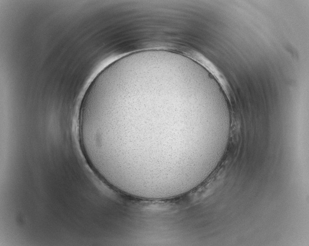 X0000116650811201001041049