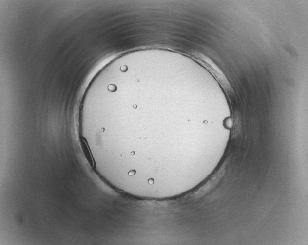 X0000116650812201001041049