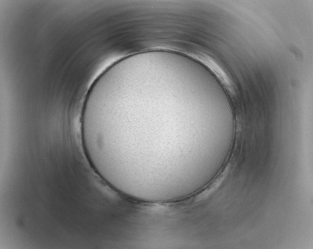 X0000116650814201001041049