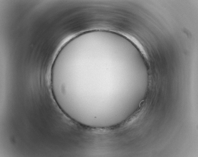 X0000116650815201001041049