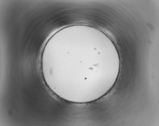 X0000116650816201001041049