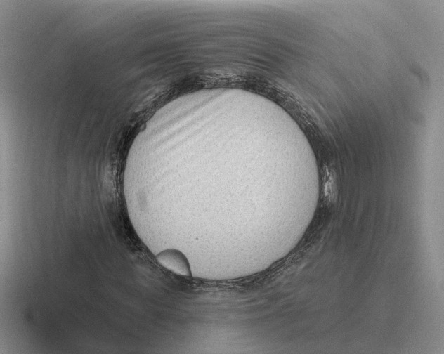 X0000116650819201001041048