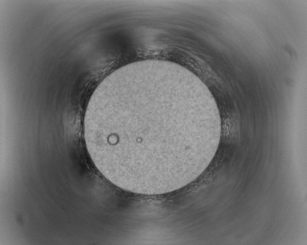 X0000116650820201001041048