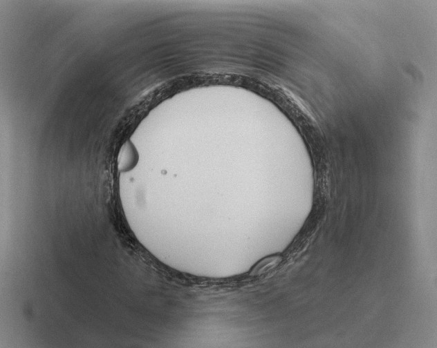 X0000116650821201001041048