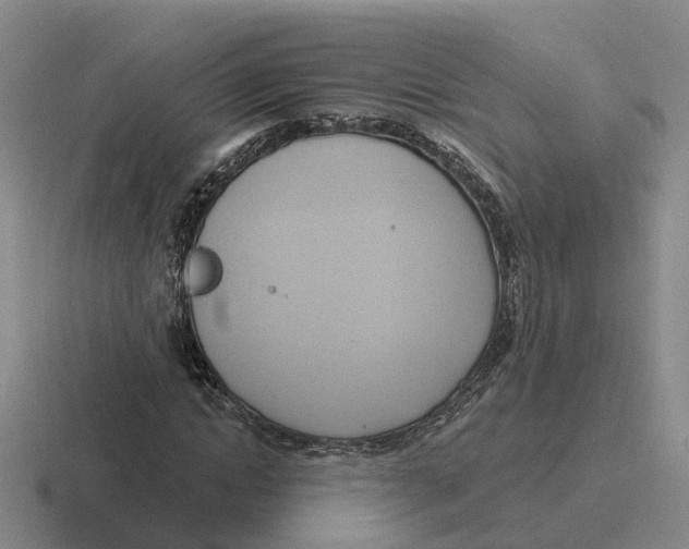 X0000116650822201001041048