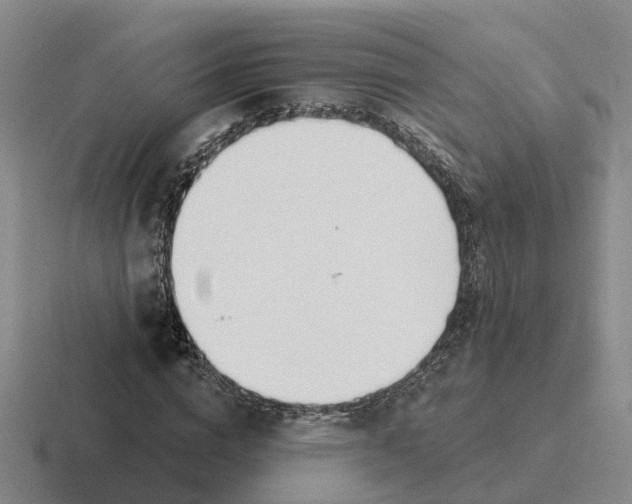 X0000116650824201001041048