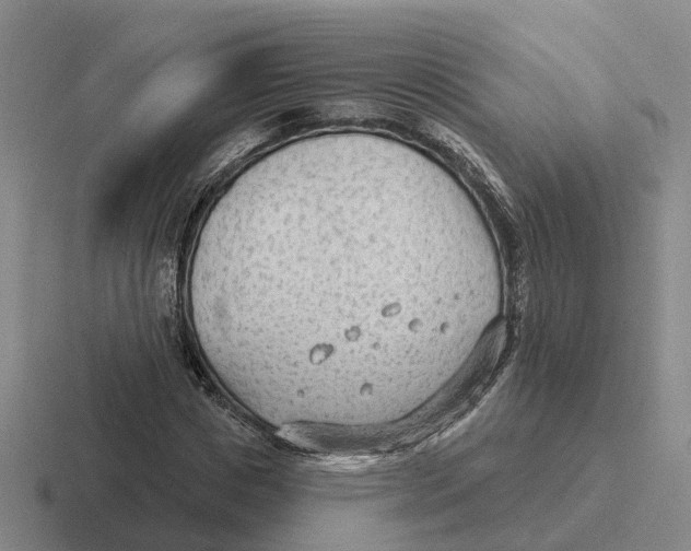 X0000116650825201001041048