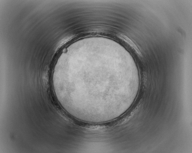 X0000116650826201001041048