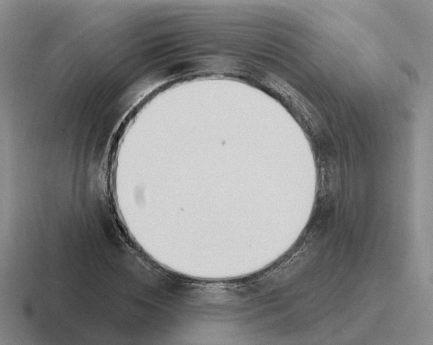 X0000116650828201001041048