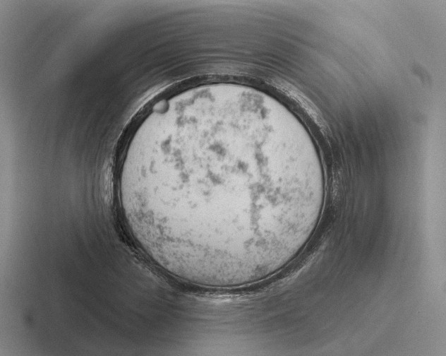 X0000116650829201001041048