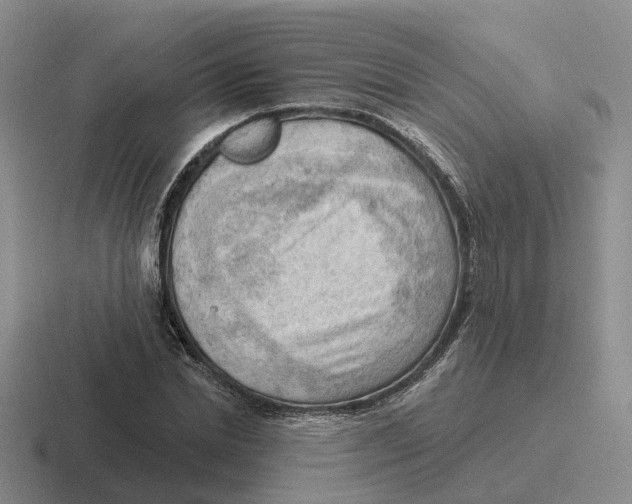 X0000116650830201001041048