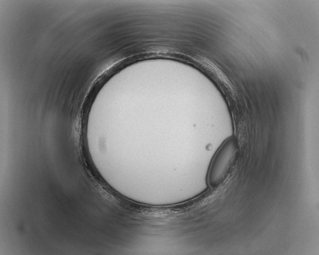 X0000116650831201001041048