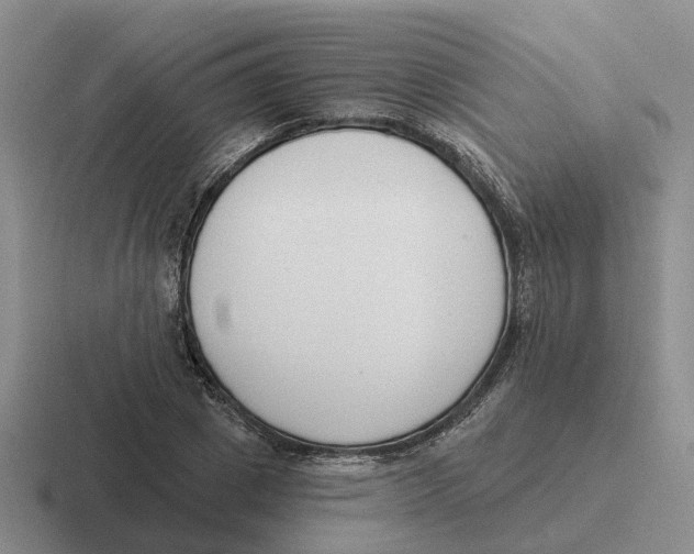 X0000116650833201001041048