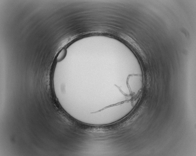 X0000116650834201001041048