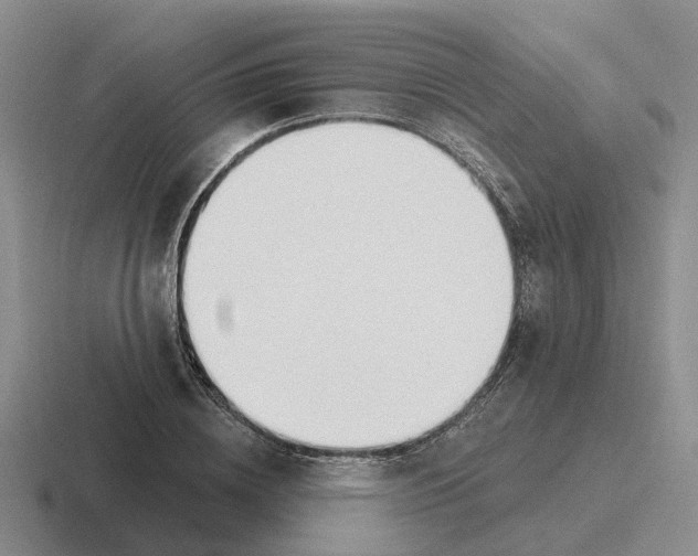 X0000116650836201001041048