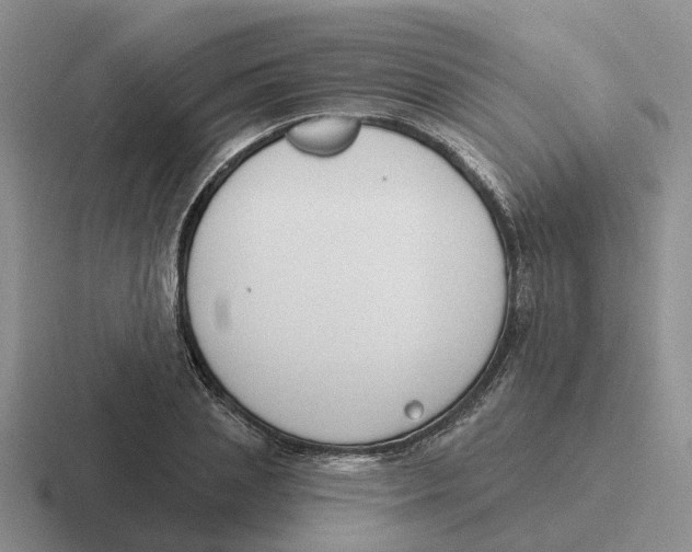 X0000116650837201001041049