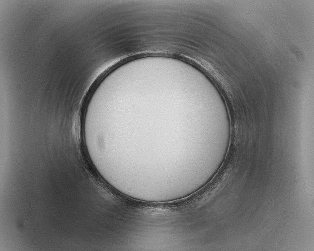 X0000116650838201001041049