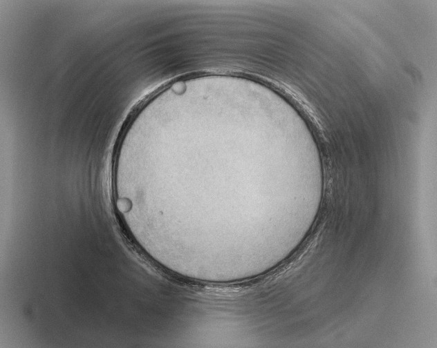 X0000116650840201001041049