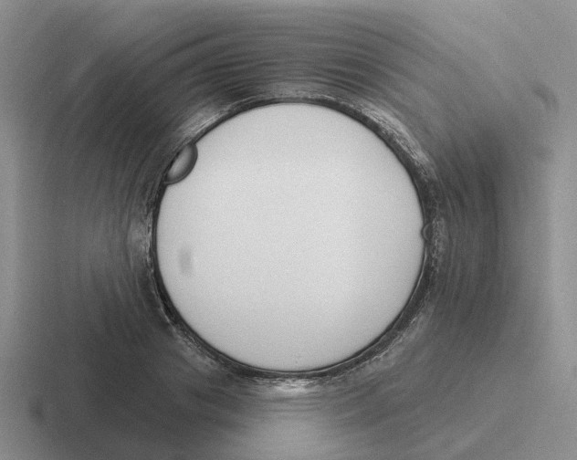 X0000116650841201001041049