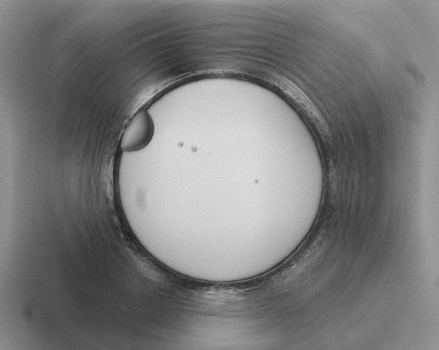 X0000116650842201001041049