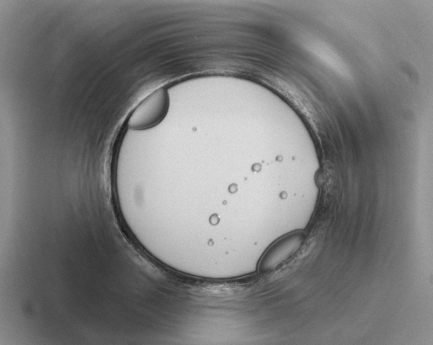 X0000116650843201001041049