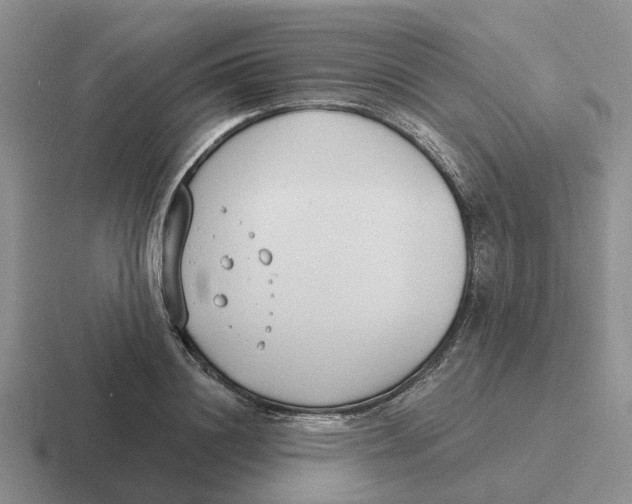 X0000116650844201001041049