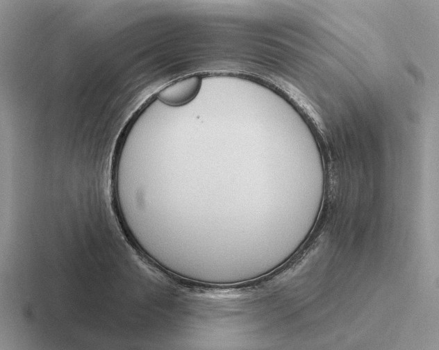 X0000116650845201001041049