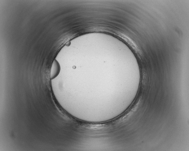 X0000116650849201001041049