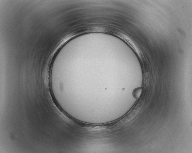 X0000116650851201001041049