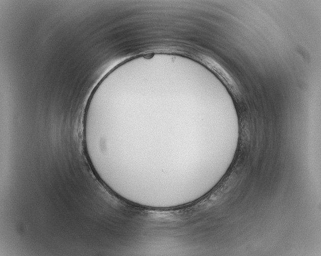 X0000116650852201001041049