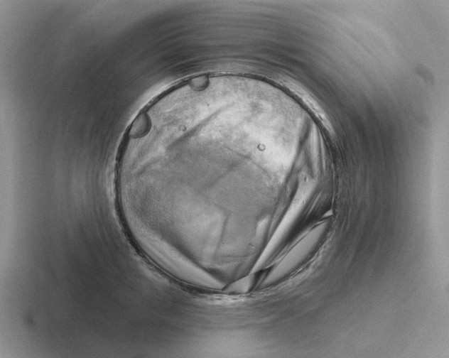 X0000116650853201001041049